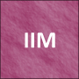 INSTITUT INTERNATIONAL DE MANAGEMENT ( IIM )